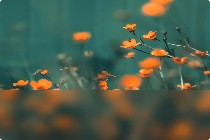 Articles Banner